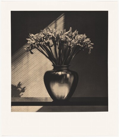 Irises