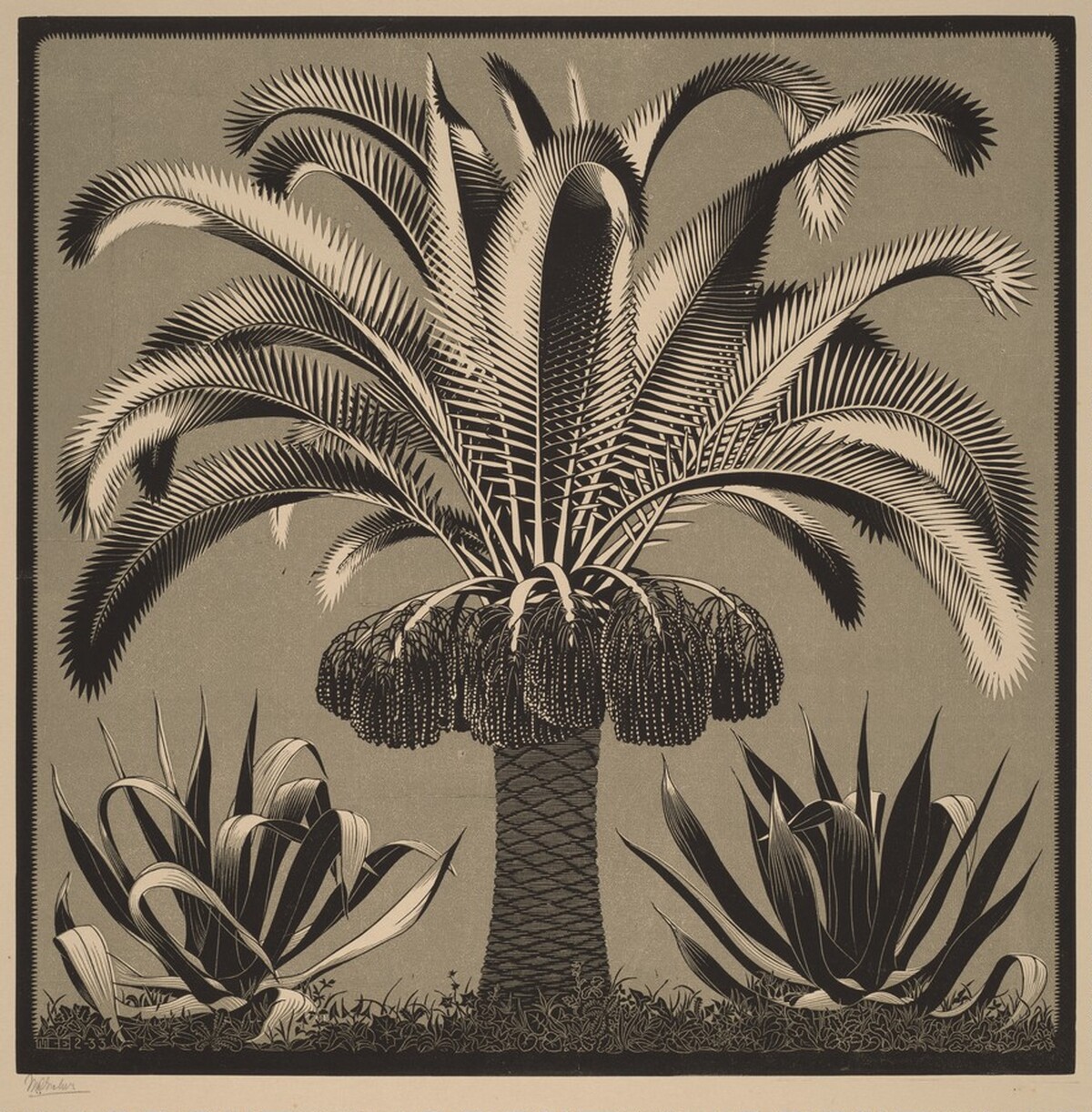 Palm by M.C. Escher