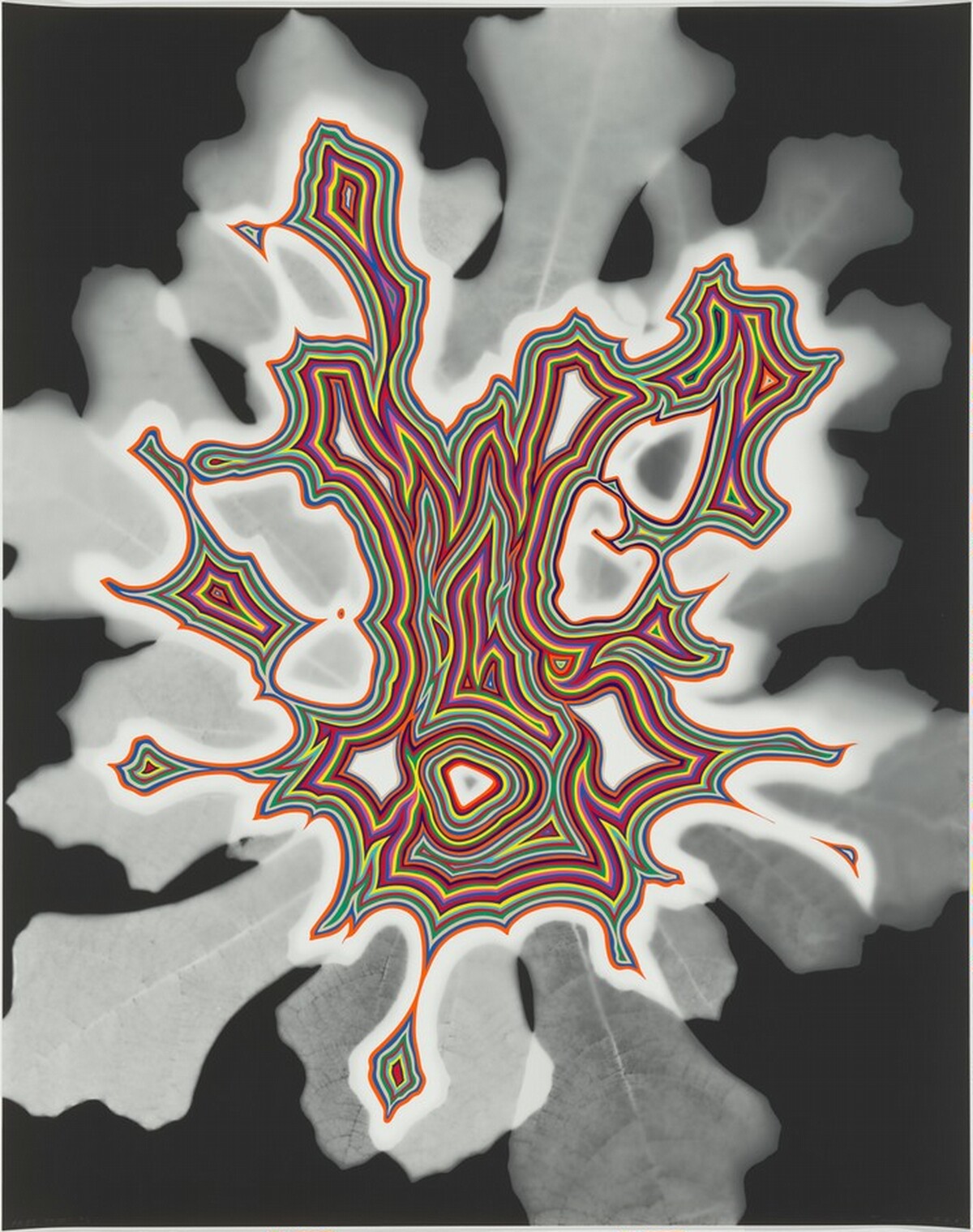 Untitled (bloom) by Fred Tomaselli