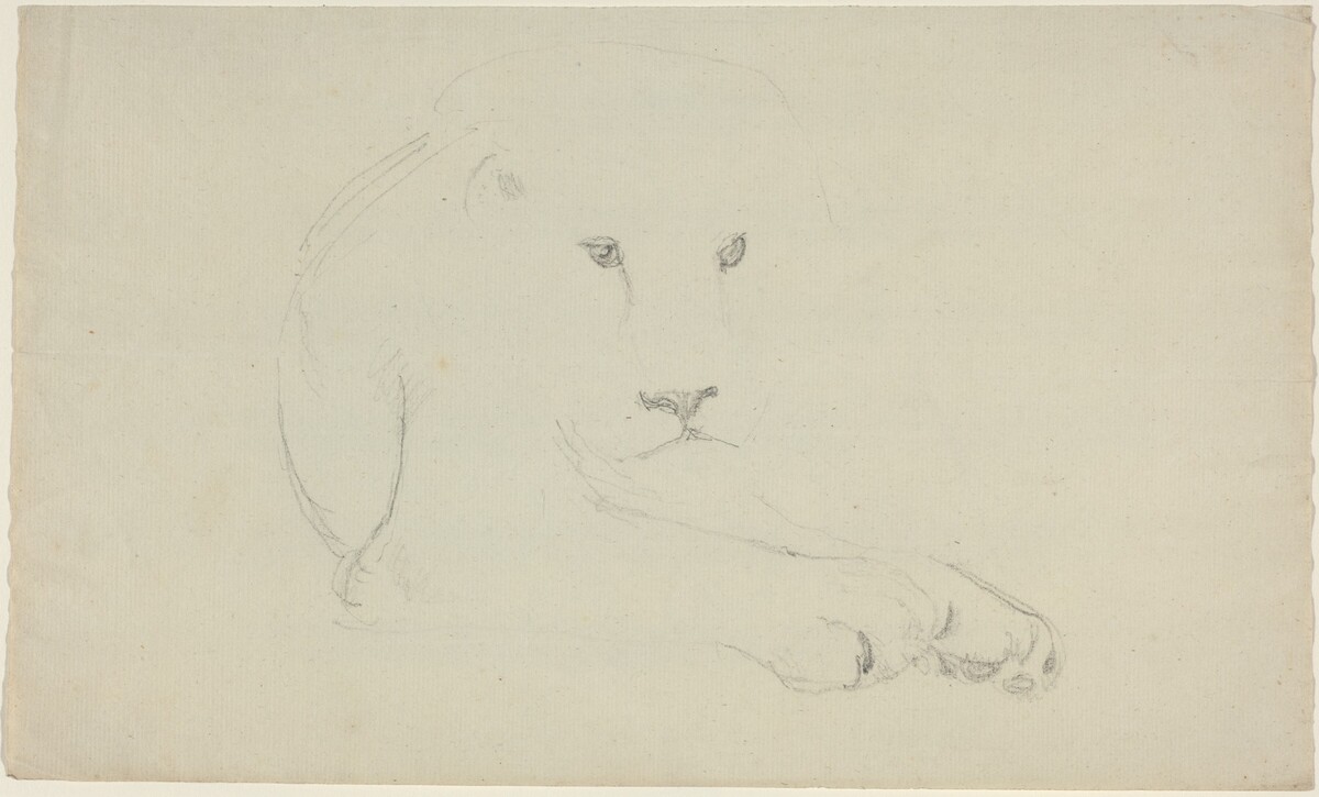 Lion by John Flaxman