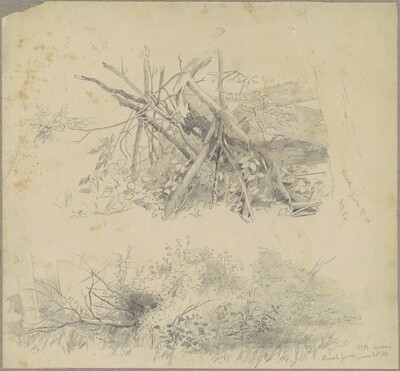 Brush; and Hudson Brush Fence