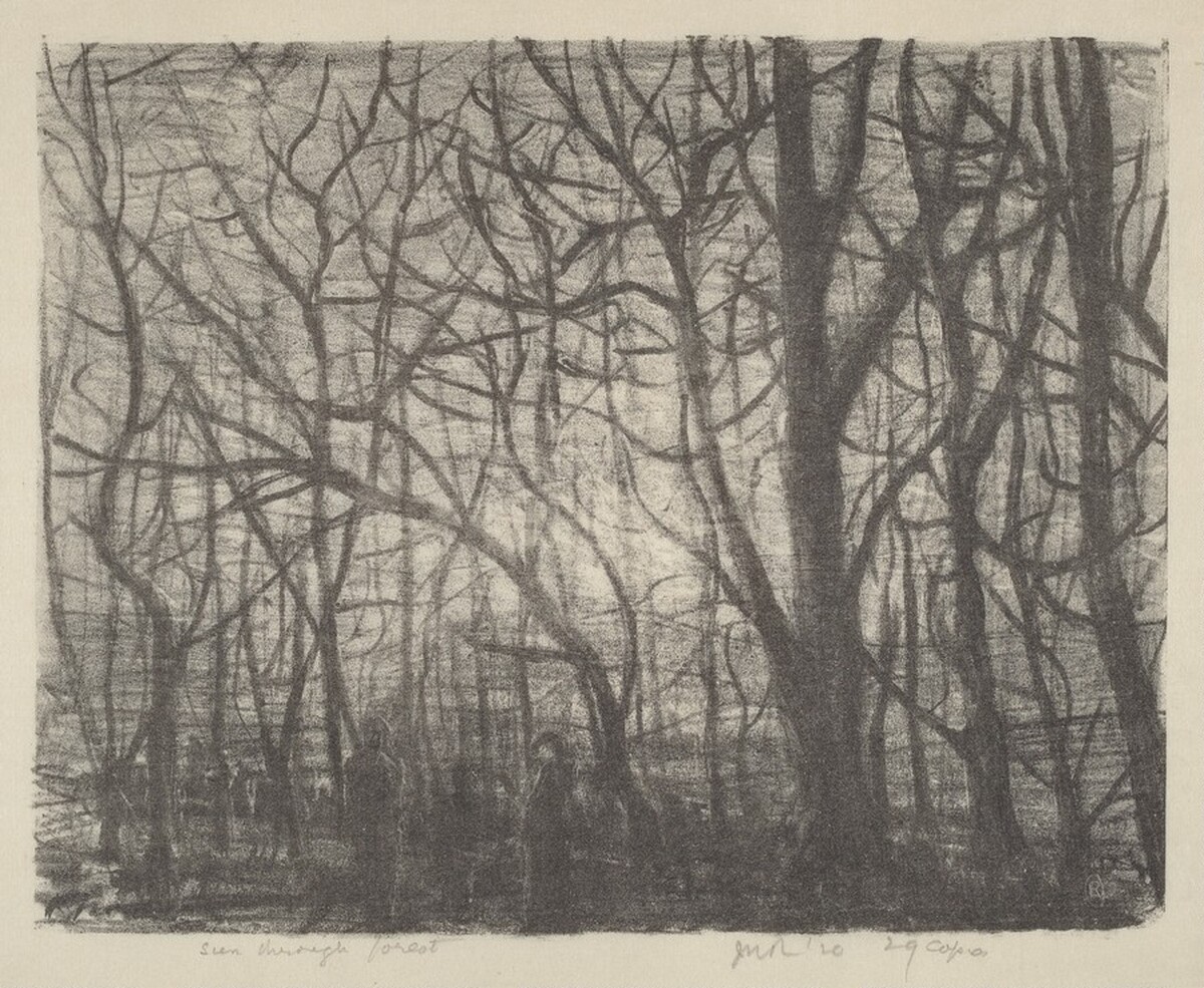 Seen Through Forest by James N. Rosenberg
