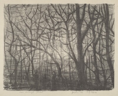 Seen Through Forest