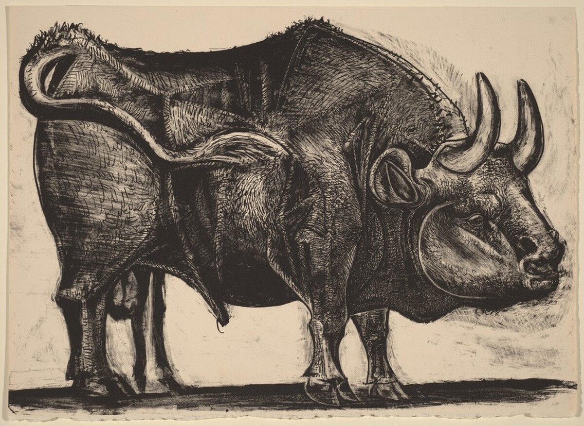 The Bull (Le taureau) by Pablo Picasso