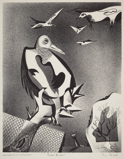 Queer Birds