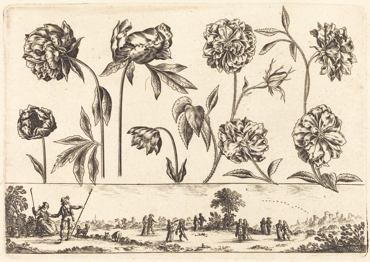 Flower Print no.7 by Nicolas Cochin after Balthasar Moncornet