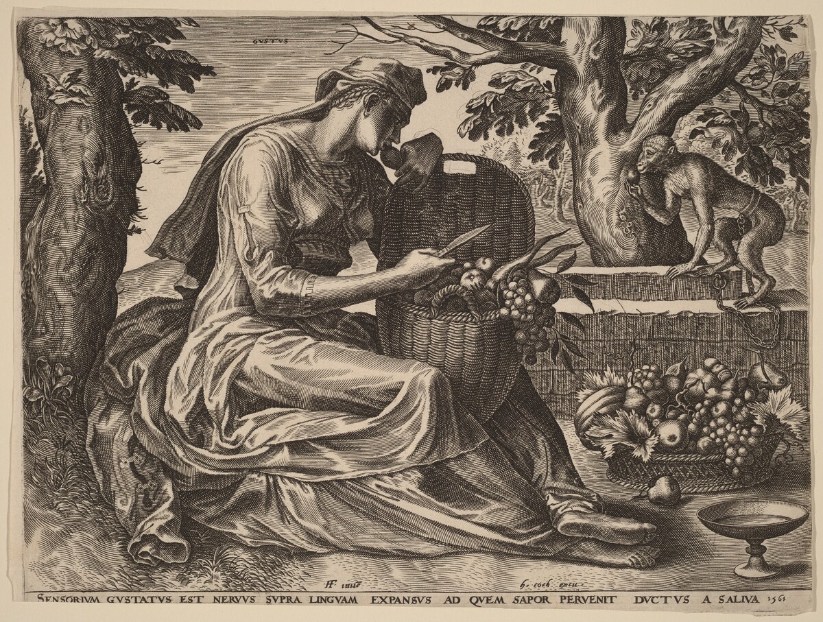 Gustus (Taste) by Cornelis Cort after Frans Floris I