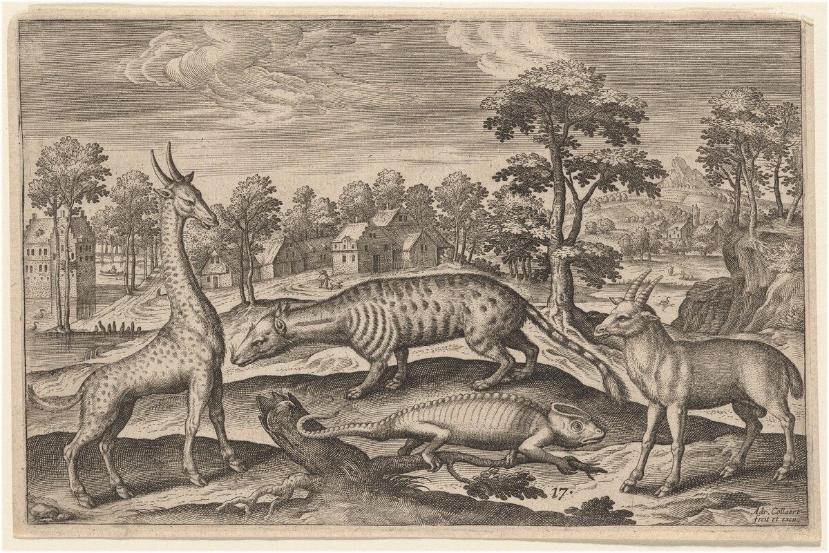 A Giraffe, a Chameleon, a Civet, and an Antelope by Adriaen Collaert