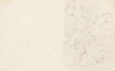 Trees [verso]