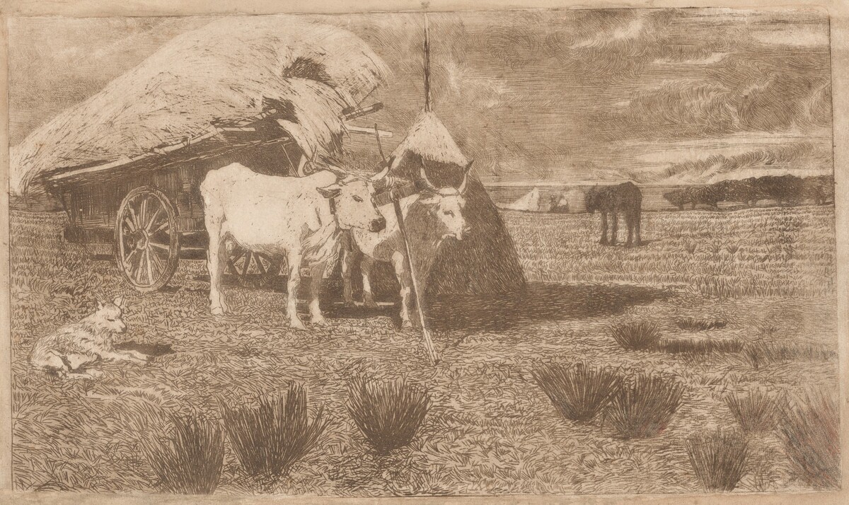 Oxen Yoked to a Cart (Maremma) (Bovi al carro (Maremma)) by Giovanni Fattori