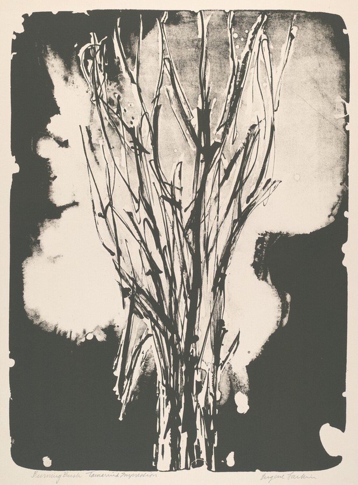 Burning Bush by Eugene Larkin