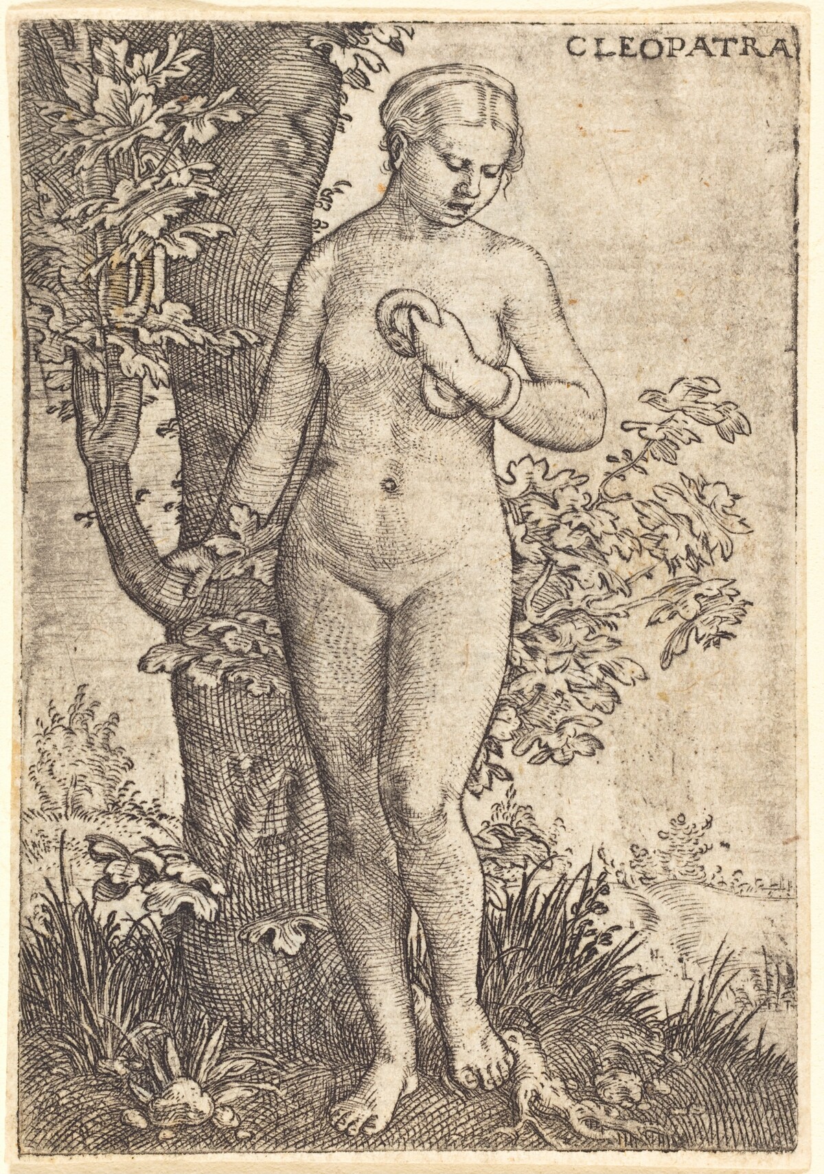 Cleopatra by Barthel Beham
