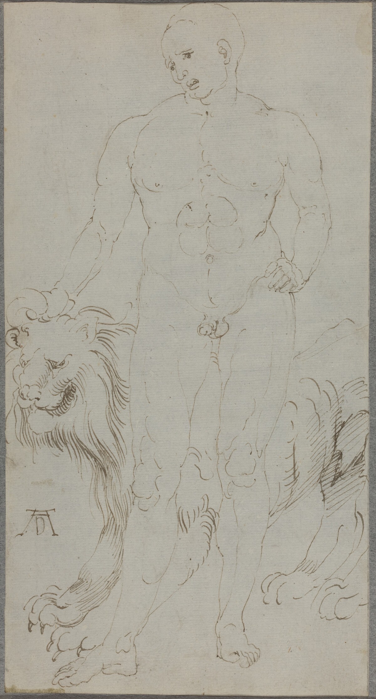 Male Nude with a Lion [verso] by Albrecht Dürer