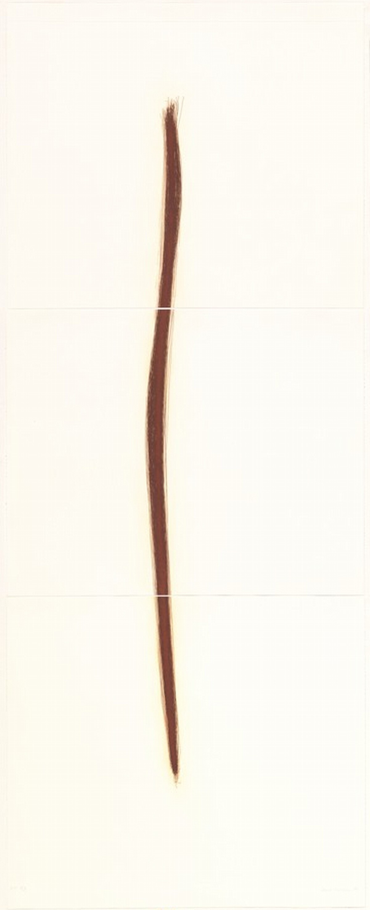 Drawing a Line As Far As I Can Reach by Tom Marioni