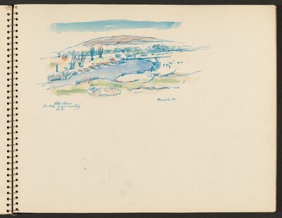 Cattle Stream, St. Johns River Country