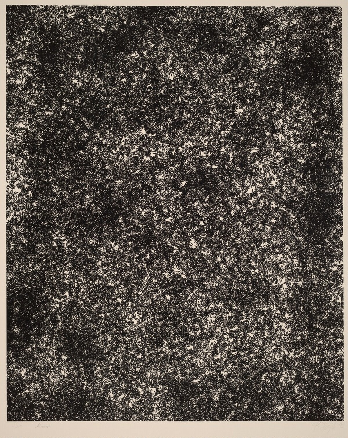 Caraway Seeds by Pavel Hayek