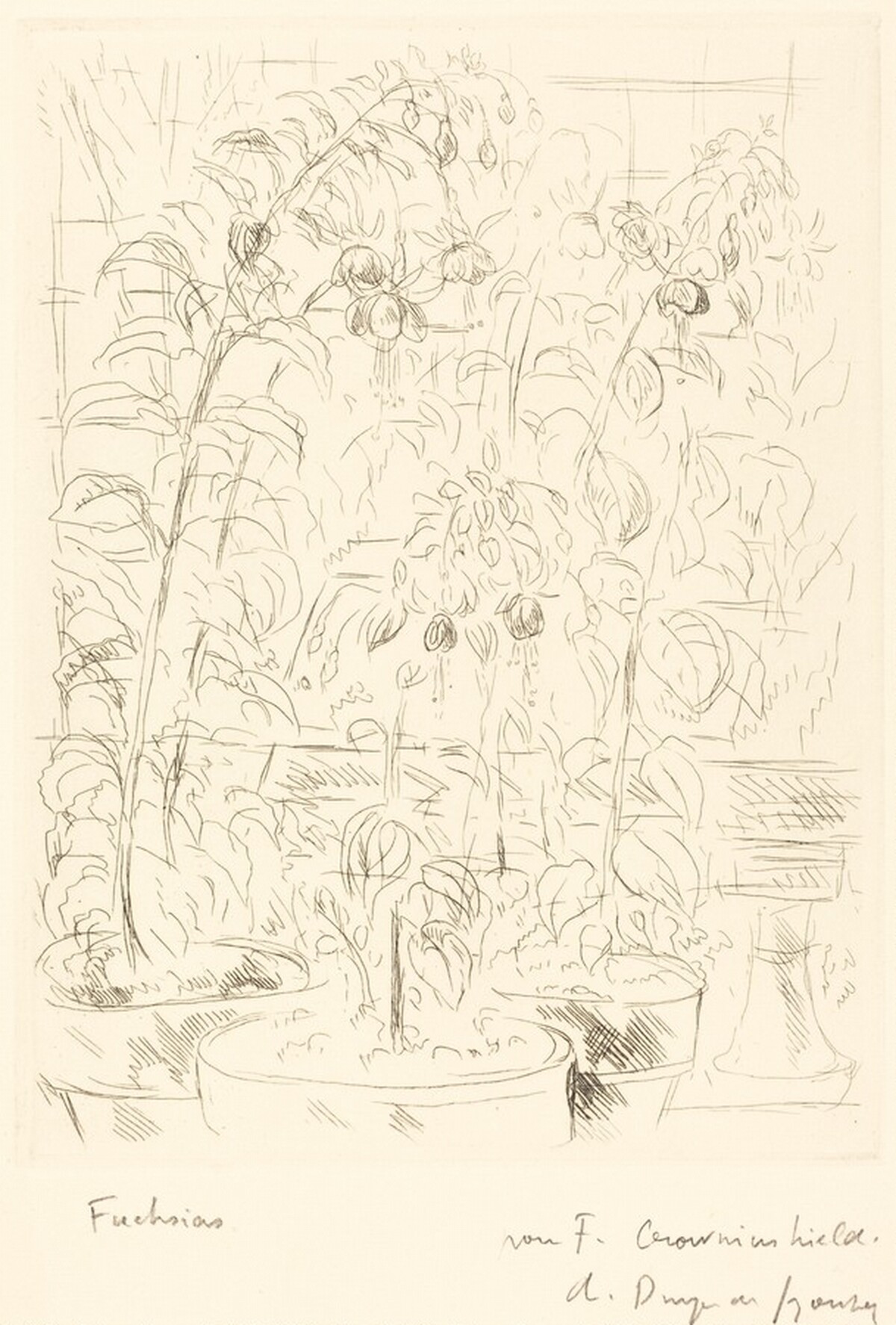 Fuchsias by André Dunoyer de Segonzac