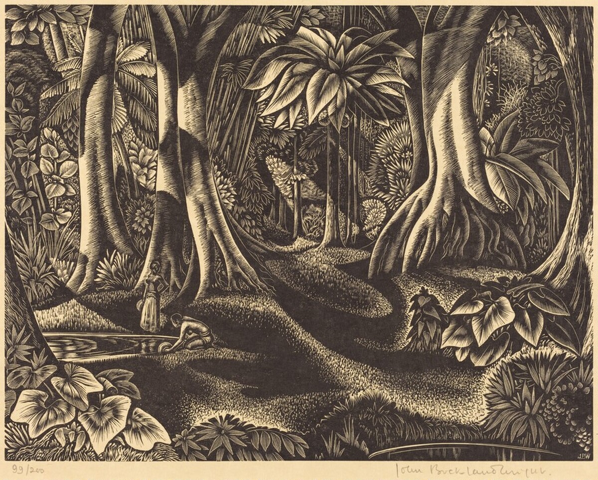 The Forest Pool by John Buckland Wright