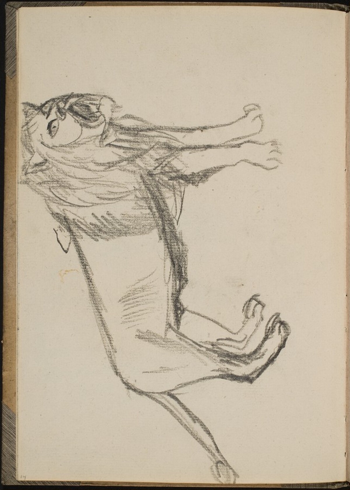 Stehender Löwe (Lion Standing) [p. 14] by Max Beckmann