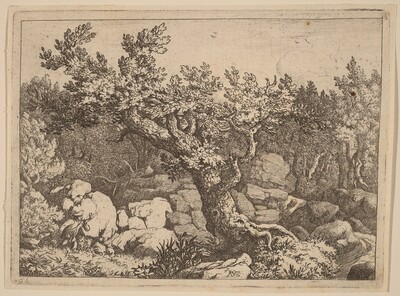 Sportsman near a Large Tree