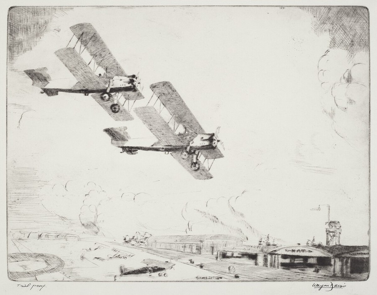 Curtis Fledglings by Wayne L. Davis