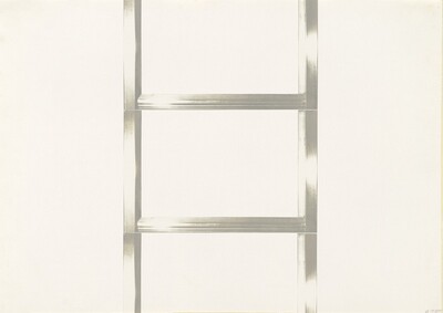 20 Foot Ladder for any Size Wall [I]