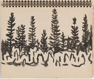 Tall Pines