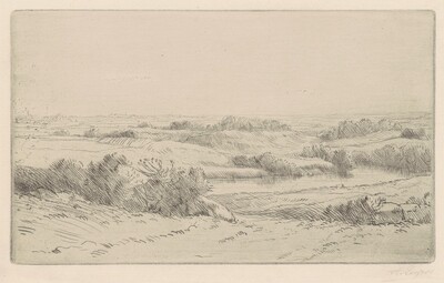 Banks of the Yanne (Les Bord de la Yanne)