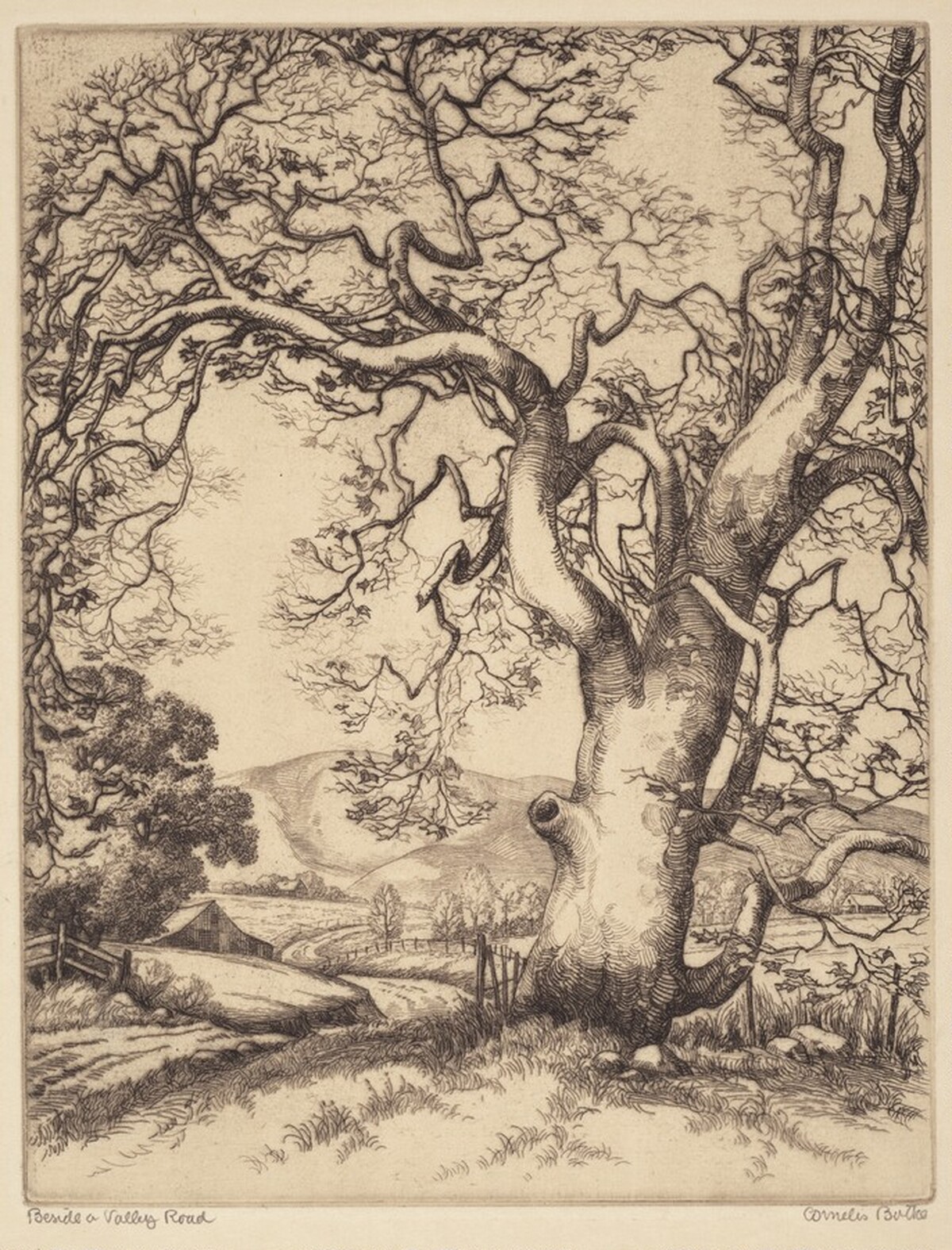 Beside a Valley Road by Cornelis Botke