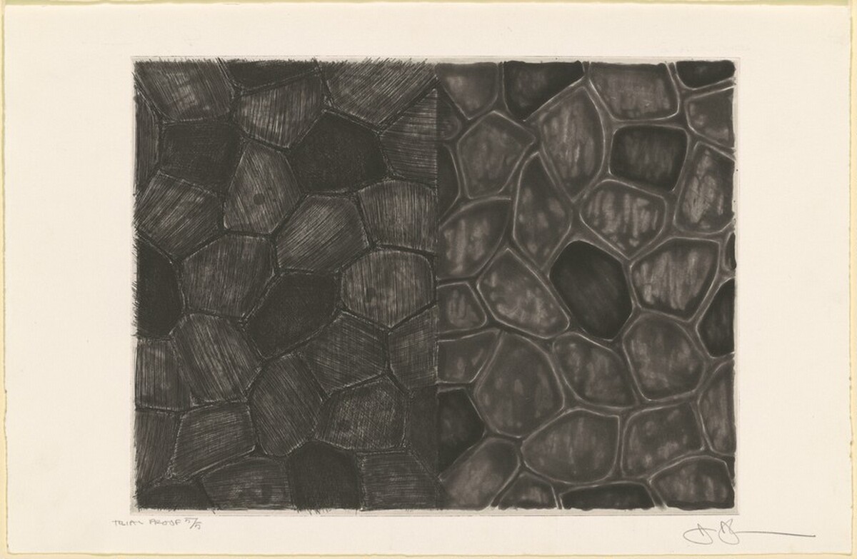 Flagstones and Flagstones [trial proof 5] by Jasper Johns