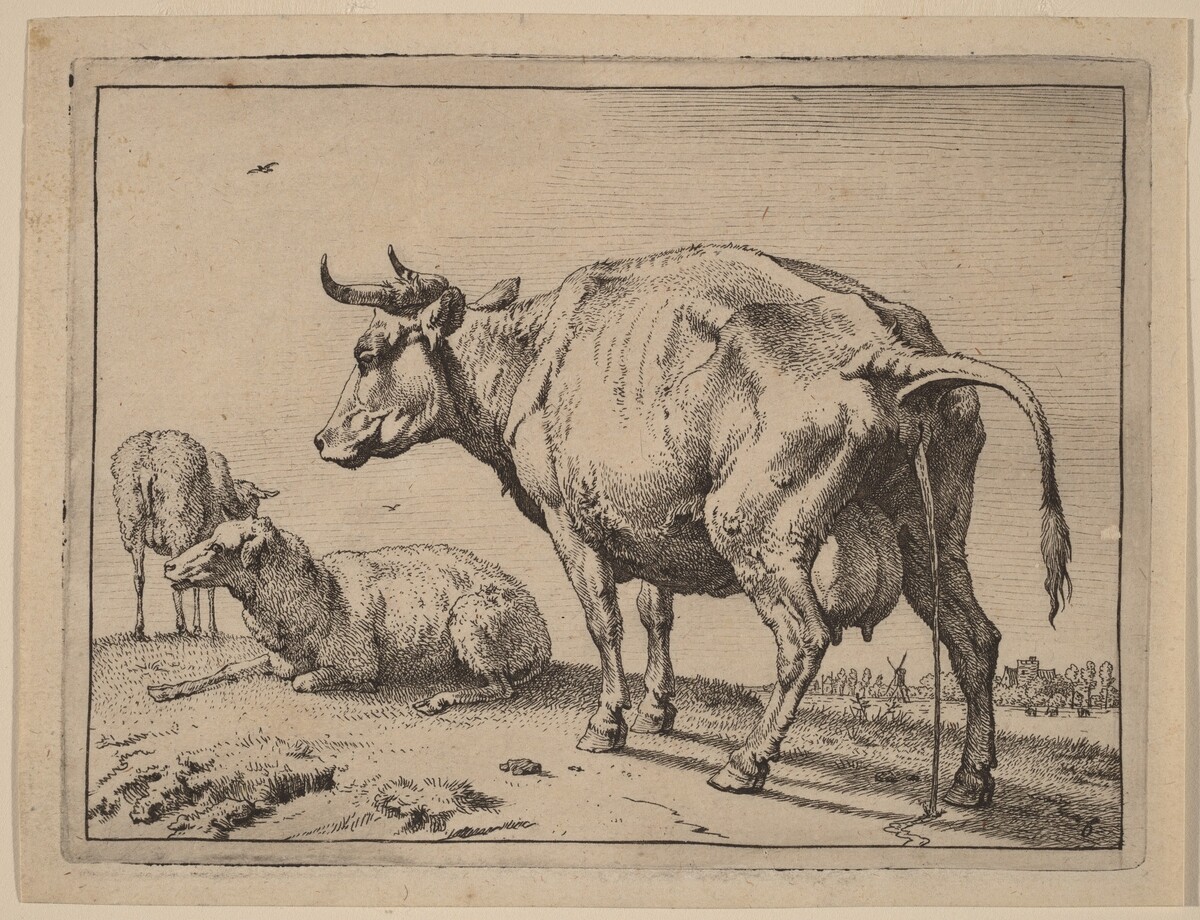 Pissing Cow by Paulus Potter
