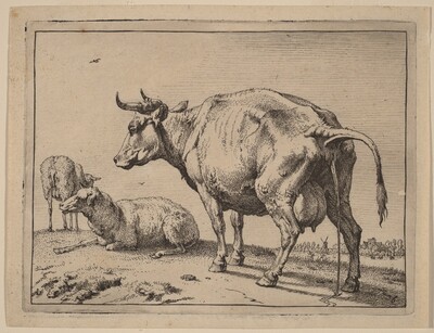Pissing Cow