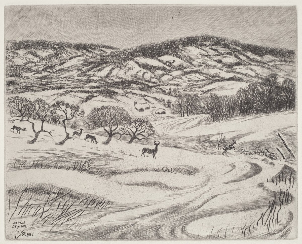 Wintry Fields by Harold Denison