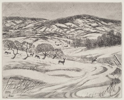 Wintry Fields