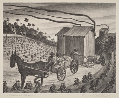 Tobacco Barns