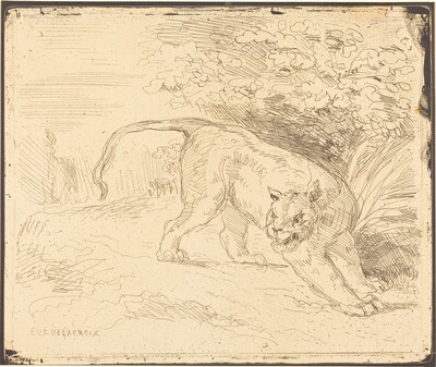 Tigre en arrêt