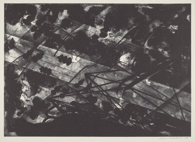 Aerial Landscape