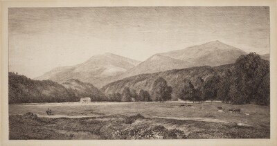 White Mountains