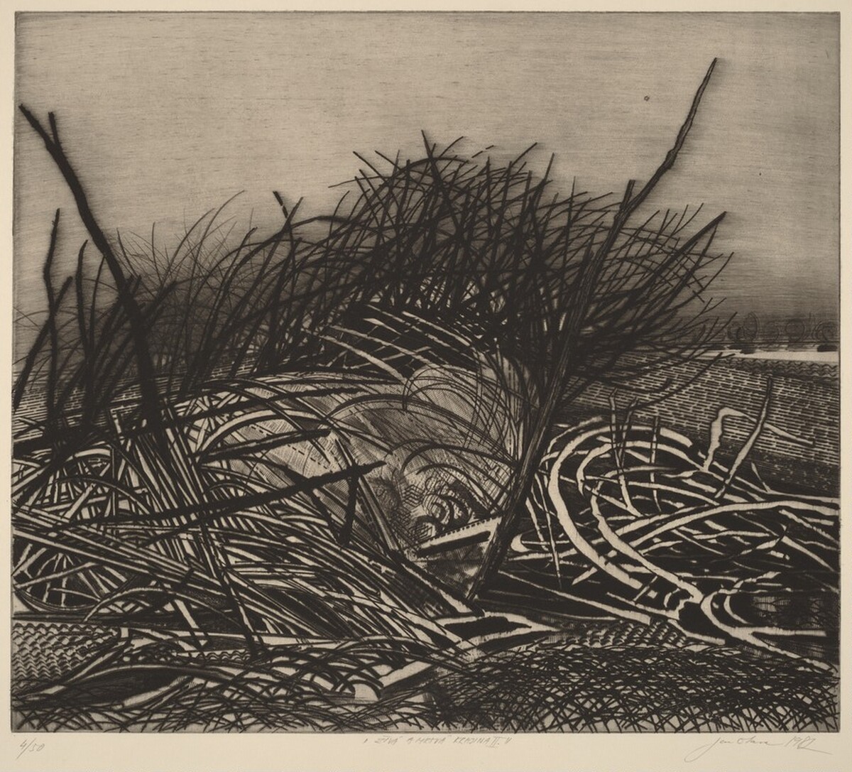 Zivá a mrtvá príroda (Living and Dead Nature) by Jan Otava