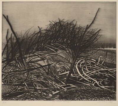 Zivá a mrtvá príroda (Living and Dead Nature)