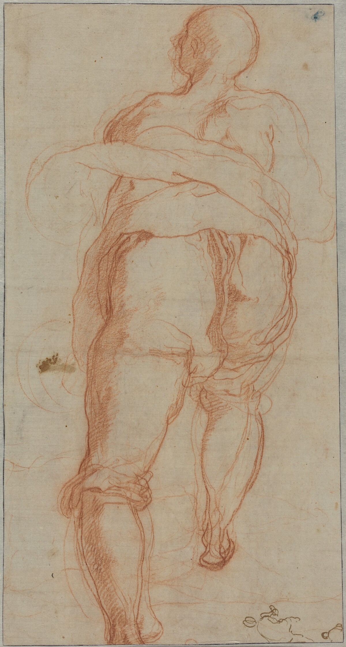 A Man Seen from Behind [verso] by Taddeo Zuccaro