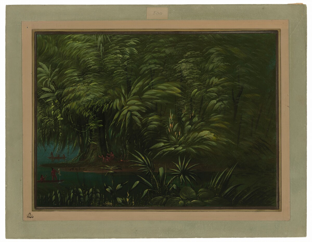 Luxuriant Forest on the Bank of the Amazon by George Catlin