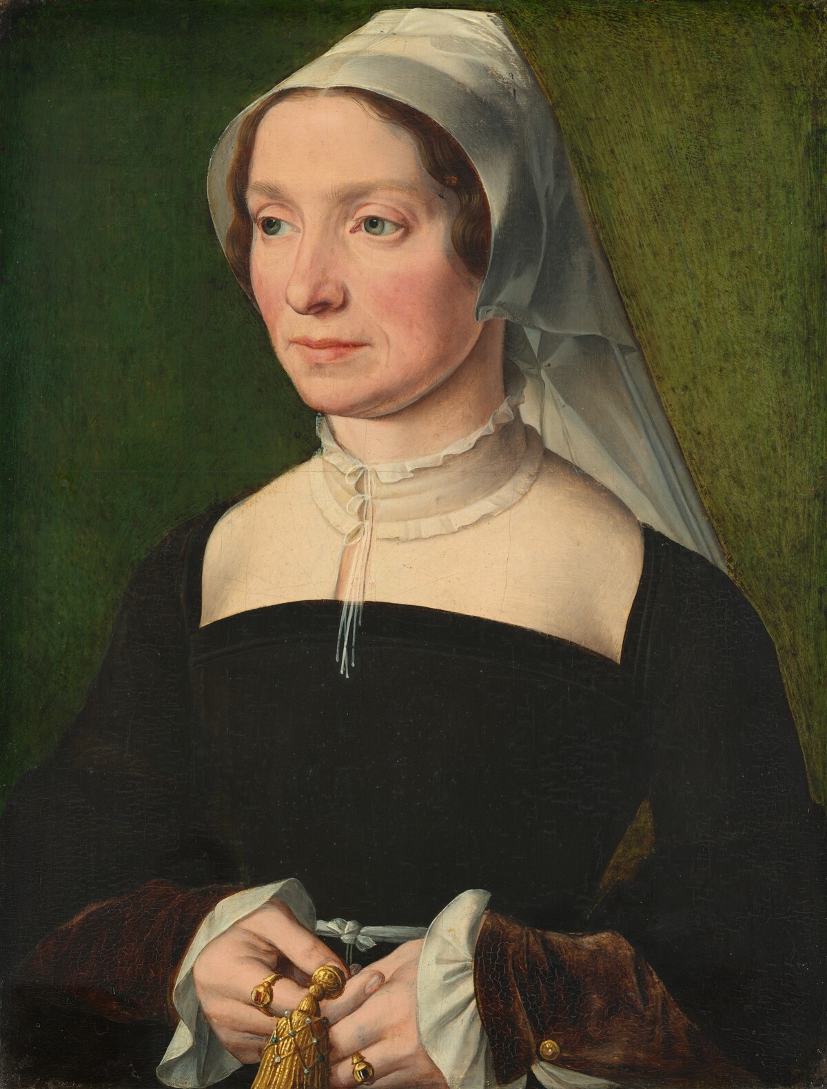 Wife of a Member of the de Hondecoeter Family by Probably Antwerp 16th Century