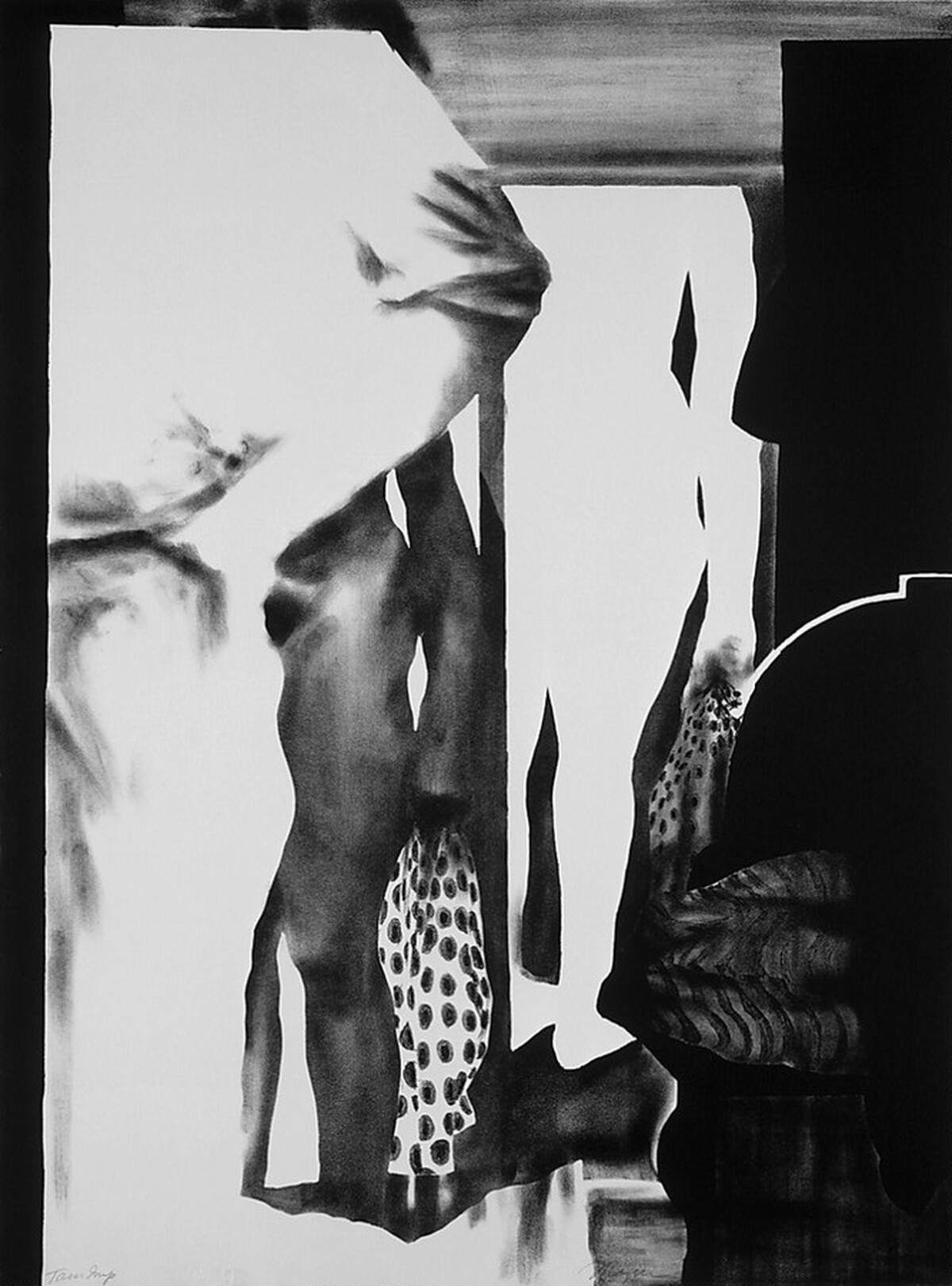 The Mirror by Michael Mazur