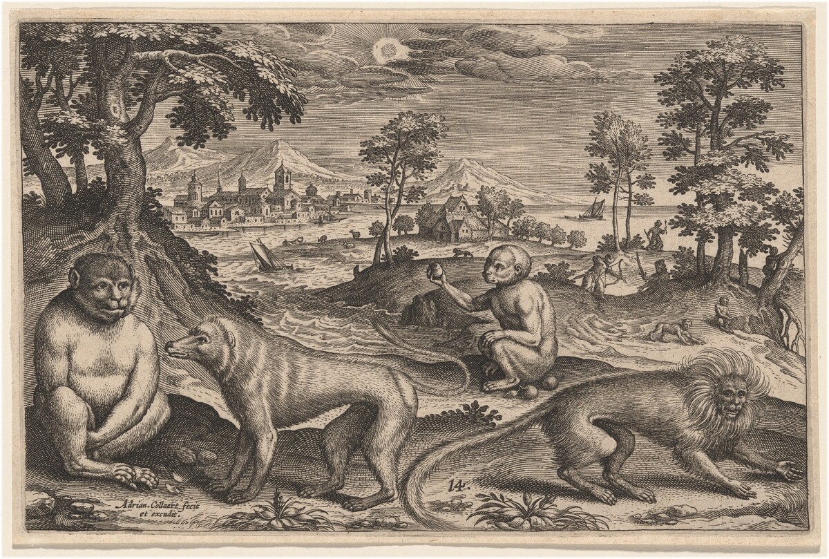 Two Apes and Two Monkeys by Adriaen Collaert