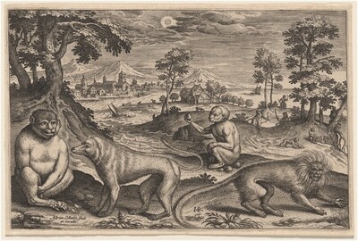 Two Apes and Two Monkeys