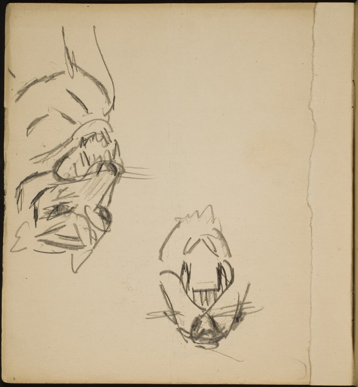 Zwei Tigerstudien (Two Tiger Studies) [p. 8] by Max Beckmann