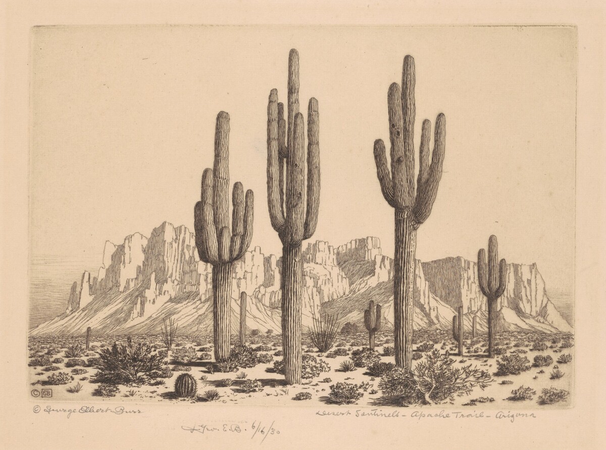 Desert Sentinels, Apache Trail, Arizona by George Elbert Burr
