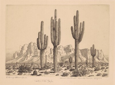 Desert Sentinels, Apache Trail, Arizona