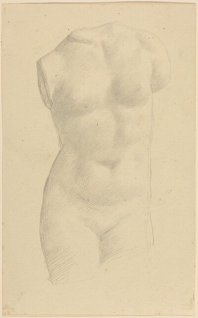 Torso